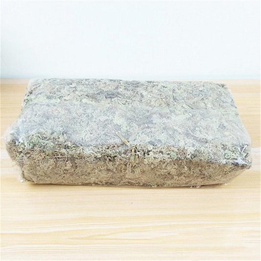 Musgo Estéril Deshidratado Premium