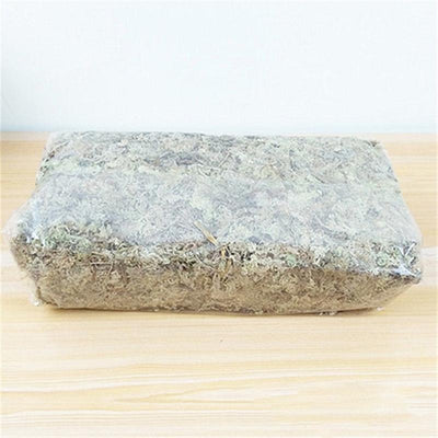 Musgo Estéril Deshidratado Premium