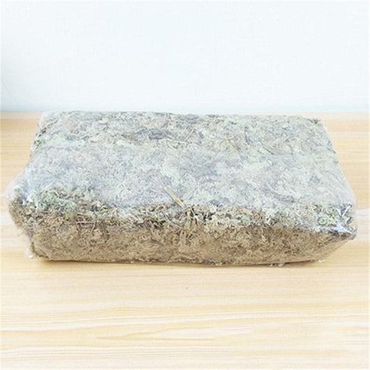 Musgo Estéril Deshidratado Premium