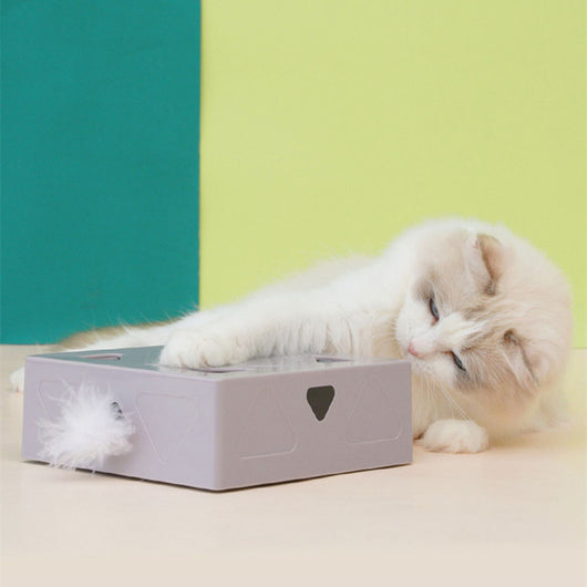 Juguete Interactivo Inteligente para Gatos con Cabezales Reemplazables y Plumas - Image 3