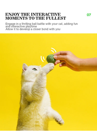 Juguetes Interactivos para Gatos - Pelotas de Sisal y Bastón Teaser - Image 17