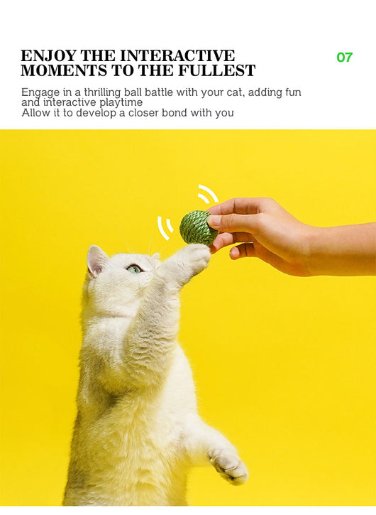 Juguetes Interactivos para Gatos - Pelotas de Sisal y Bastón Teaser - Image 17