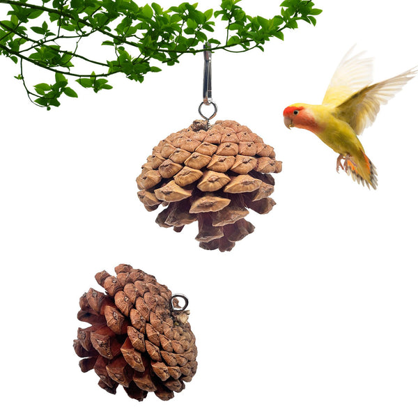 Juguete Mordedor para Loros con Piñas de Pino y Argollas Colgantes