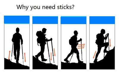 Bastones de Trekking Telescópicos para Familia - 3 Secciones Ajustables - Image 10