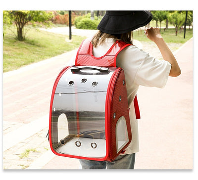 Mochila Transportadora Transparente Plegable para Perros Pequeños con Bolsillo Pañales - Image 28