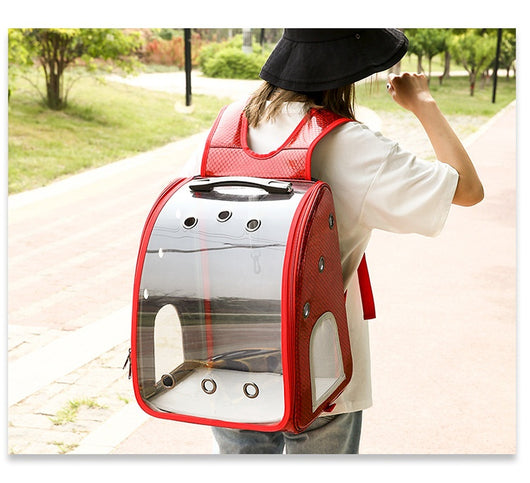 Mochila Transportadora Transparente Plegable para Perros Pequeños con Bolsillo Pañales - Image 28