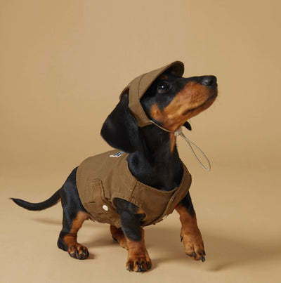 Chaleco Deportivo para Mascotas - Ropa de Trabajo Resistente a Manchas - Image 2