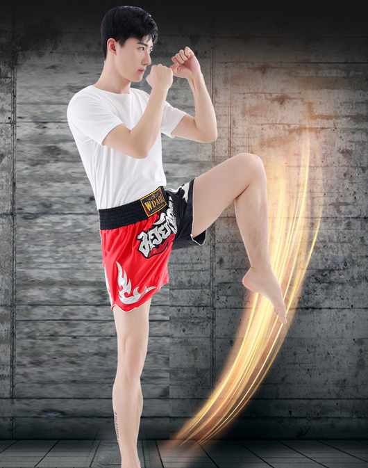 Pantalones Cortos de Muay Thai Wudaolong - Ropa de Boxeo y MMA Profesional - Image 8