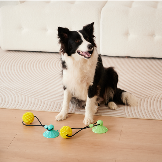 Juguete Masticable de Maíz con Ventosa - Juego Interactivo de Tracción para Perros Medianos y Grandes - Image 4