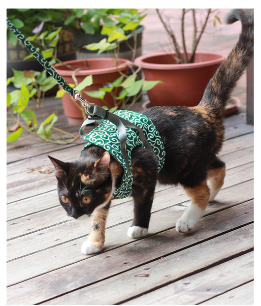 Cuerda de Paseo para Gatos - Image 5