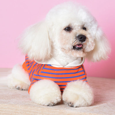 Suéter Deportivo con Capucha para Perros Pequeños - Diseño a Rayas - Image 6