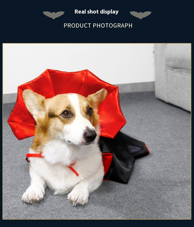 Capa de Halloween para Gatos - Disfraz Festivo Elegante - Image 15