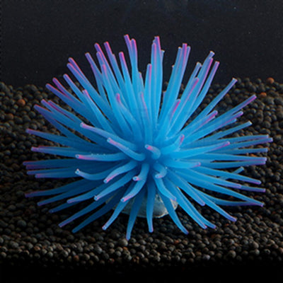 Decoración de Acuario con Coral - Equipo de Paisajismo Acuático - Image 13