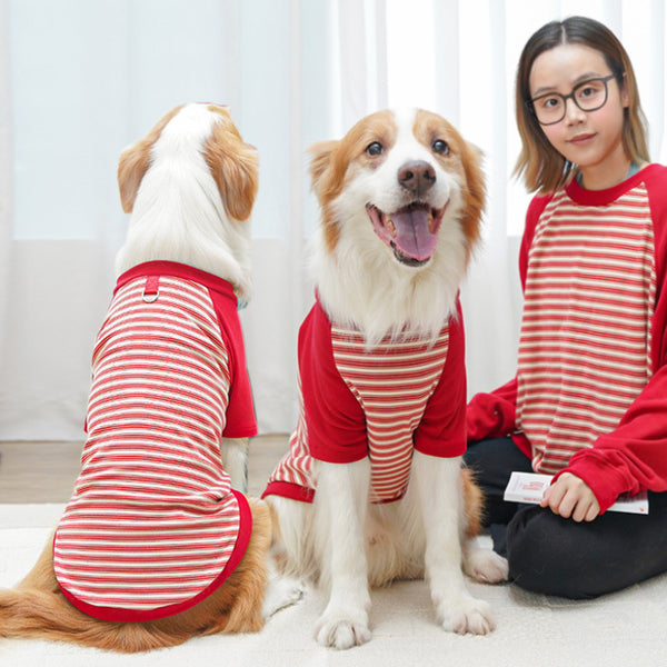 Camiseta Rayada para Perros Grandes - Ropa Cómoda y Protectora