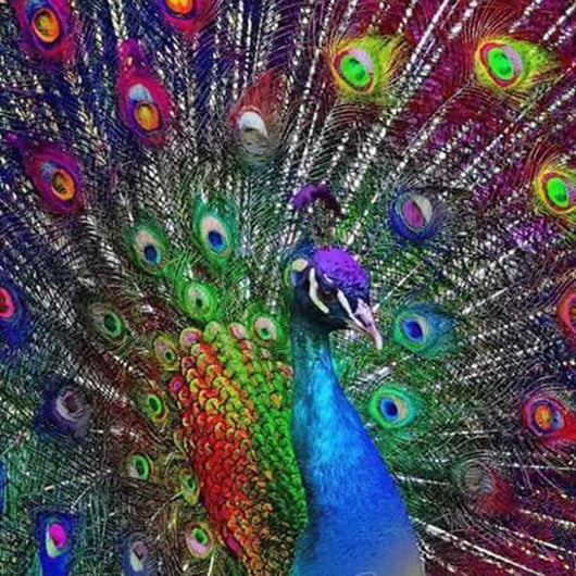 Pintura de Diamantes 5D - El Pavo Real Colorido - Image 3