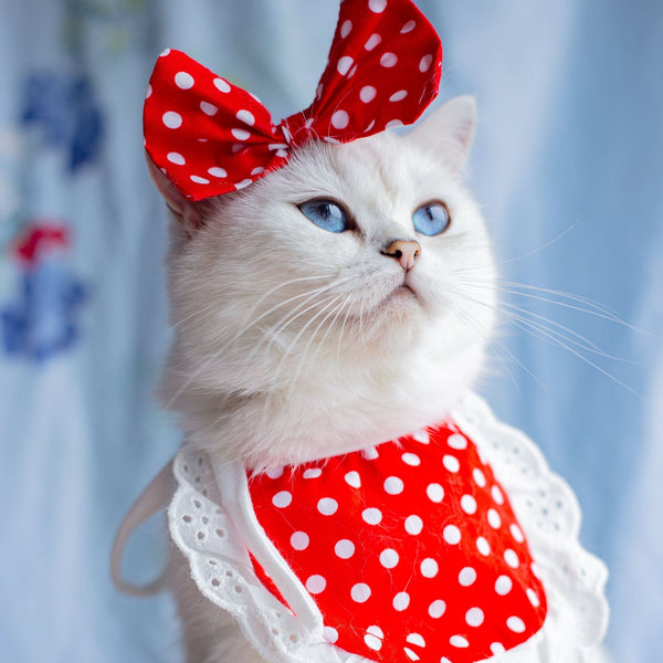 Babero Pañoleta Encaje Gato Estilo Princesa con Decoración