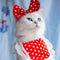 Babero Pañoleta Encaje Gato Estilo Princesa con Decoración