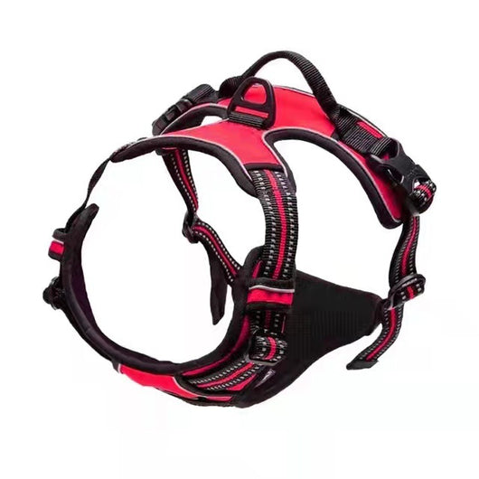 Chaleco Protector Reflectante para Perros con Amortiguación de Impactos - Image 11