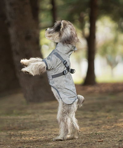 Impermeable para Perros Pequeños y Medianos con Arnés Integrado - Image 15