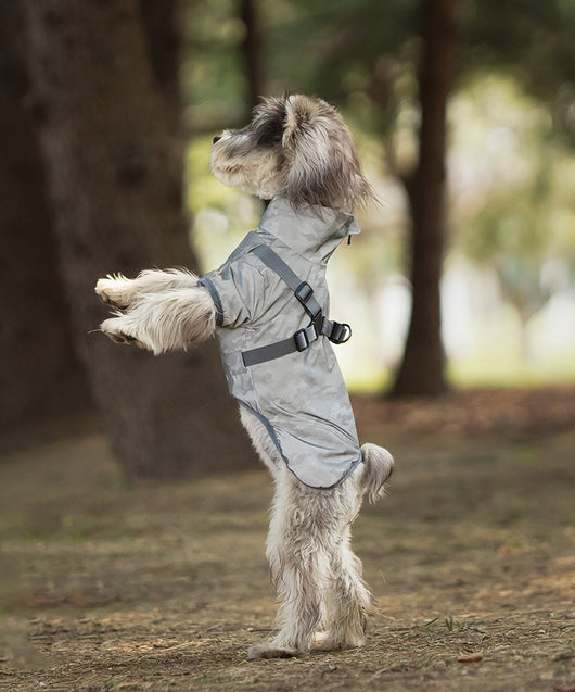 Impermeable para Perros Pequeños y Medianos con Arnés Integrado - Image 15