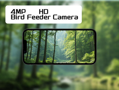 Comedero Inteligente para Aves con Cámara y Energía Solar - Image 11