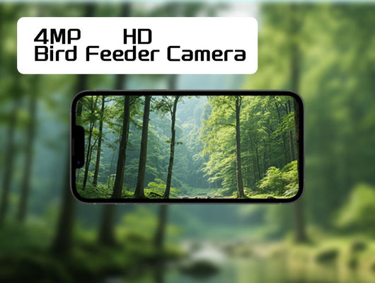 Comedero Inteligente para Aves con Cámara y Energía Solar - Image 11