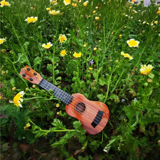 Instrumentos Musicales para Principiantes - Juguetes Educativos