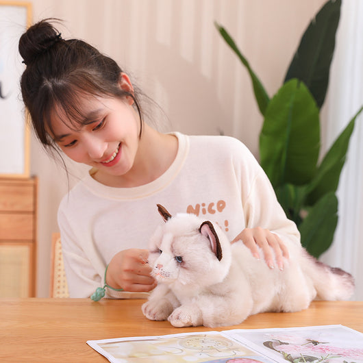 Gato de Peluche Realista Acostado - Muñeco Suave para Abrazo - Image 8