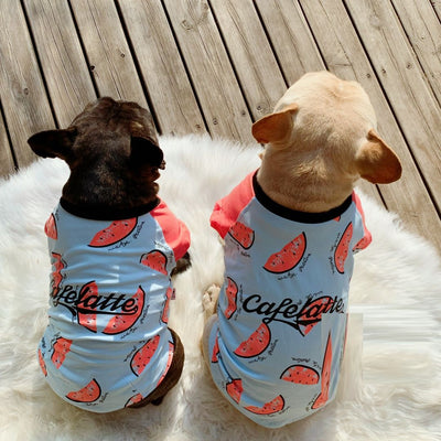 Ropa Fresca de Algodón para Perros - Manga Corta Primavera y Otoño - Image 2