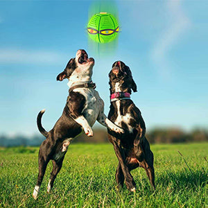Pelota Voladora UFO con 6 Luces LED para Perros y Niños - Image 18