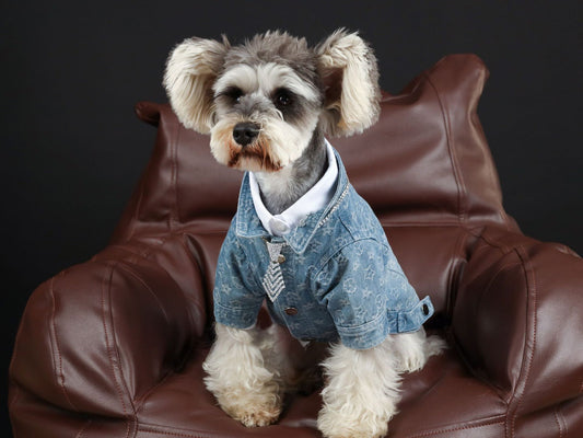 Camisa Denim Primavera Verano para Mascotas - Image 2