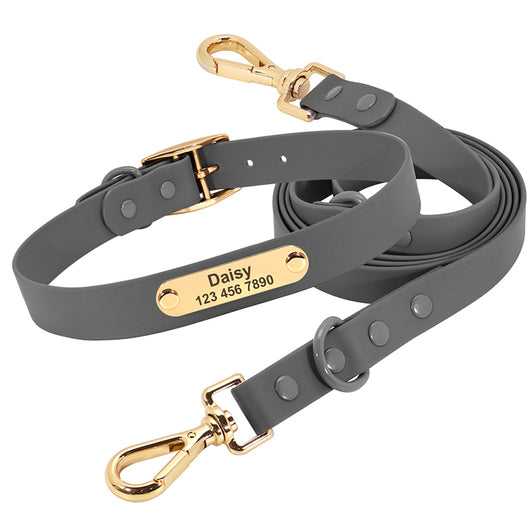 Correa con Collar Mediano para Perros Teddy - Image 8