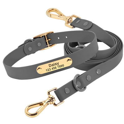 Correa con Collar Mediano para Perros Teddy - Image 25