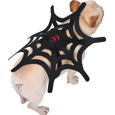 Kit de Transformación Halloween: Disfraz para Mascotas Gato, Perro y Telaraña - Image 5
