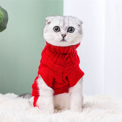 Suéter Tejido para Gatos Otoño Invierno - Diseño Adorable y Cómodo - Image 14