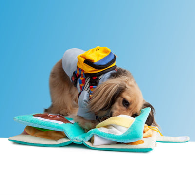 Juguete Interactivo de Búsqueda y Olfato para Perros - Image 8