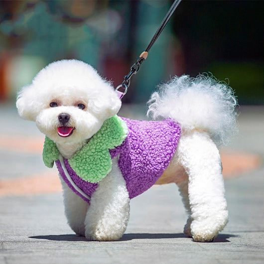 Ropa Térmica para Mascotas Estilo Coreano con Encaje de Hoja de Loto