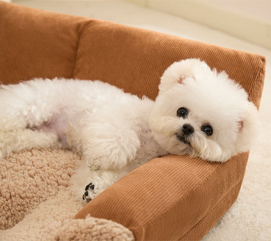 Cama Térmica para Mascotas 4 Estaciones - Nido Acogedor para Perros y Gatos - Image 4