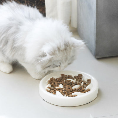 Comedero Lento Antiestrés para Perros y Gatos - Image 19