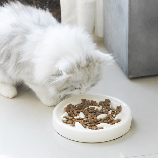 Comedero Lento Antiestrés para Perros y Gatos - Image 19