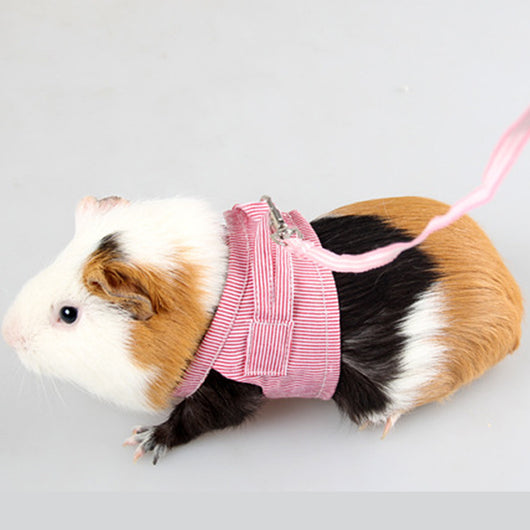 Arnés de Pecho con Cuerda de Tracción para Mascotas Pequeñas - Image 4