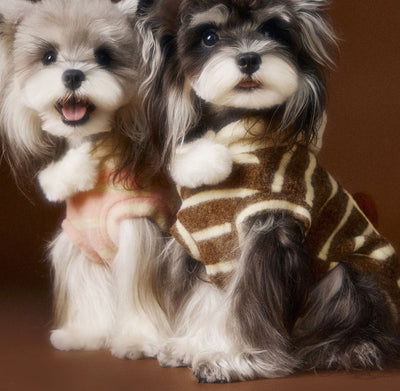 Suéter Acogedor de Galleta Felt para Mascotas - Otoño e Invierno - Image 3