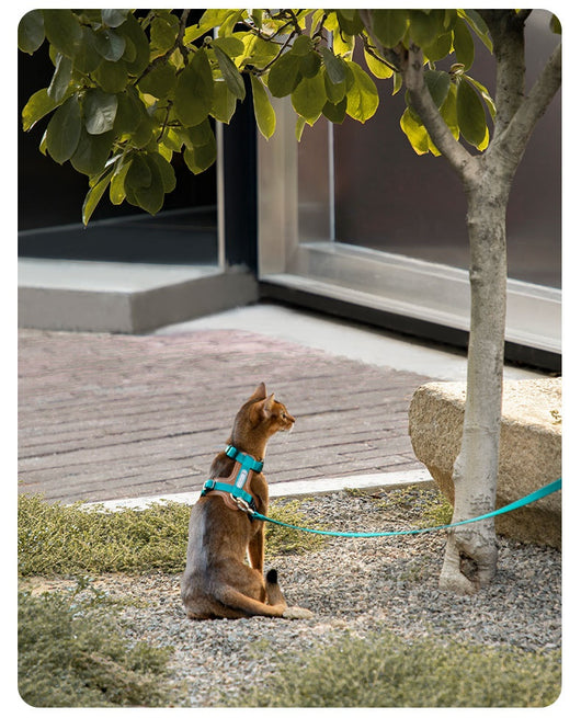 Arnés de Tracción en I para Gatos - Chaleco Pectoral y Dorsal - Image 20