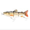 Yellow Grass Carp