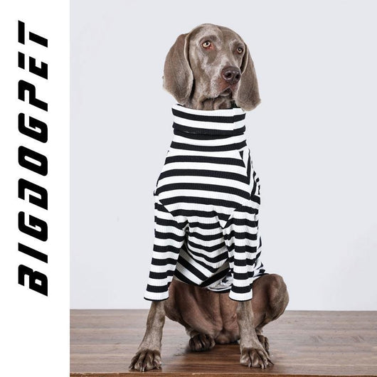 Ropa para Perros Grandes - Chaleco Delgado Transpirable - Image 8