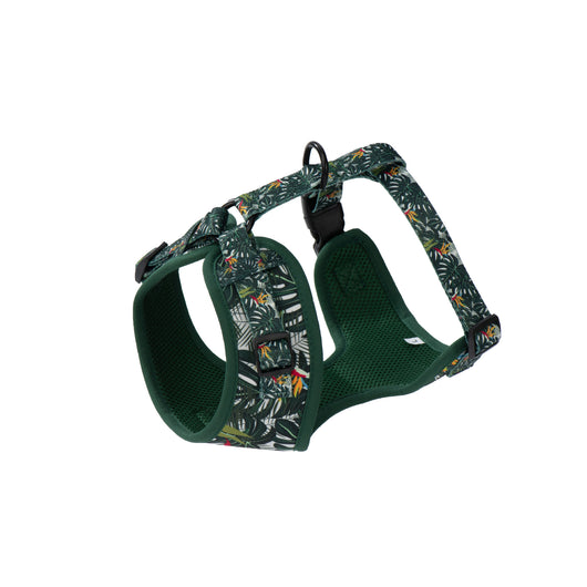 Arnés Ajustable para Perro con Cuerda de Tracción - Image 5