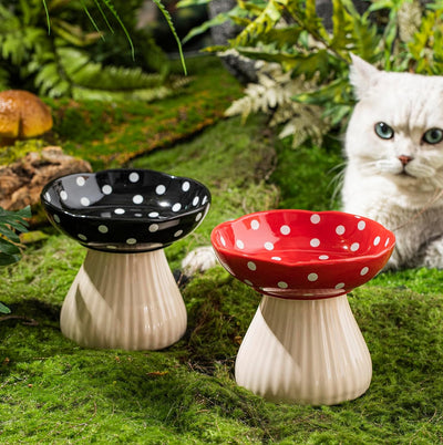Comedero Elevado para Gatos con Diseño de Lunares y Cerámica Segura - Image 7