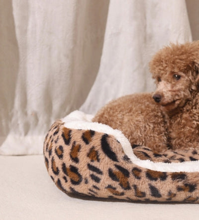 Casa para Mascotas Cuatro Estaciones - Aislada y Térmica - Image 16