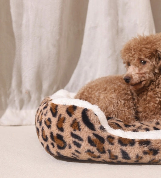 Casa para Mascotas Cuatro Estaciones - Aislada y Térmica - Image 16