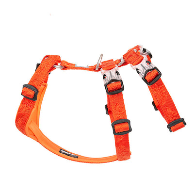 Arnés de Paseo para Perro con Correa Pectoral - Image 5